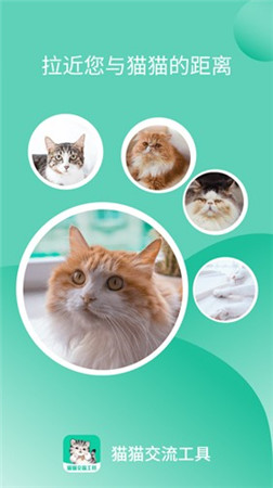 猫猫交流软件app下载