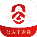 公选王v4.6.6