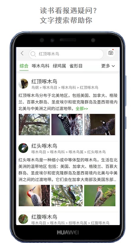 万物头条软件下载安装 万物头条app免费下载v2.1.66.250227 运行截图3