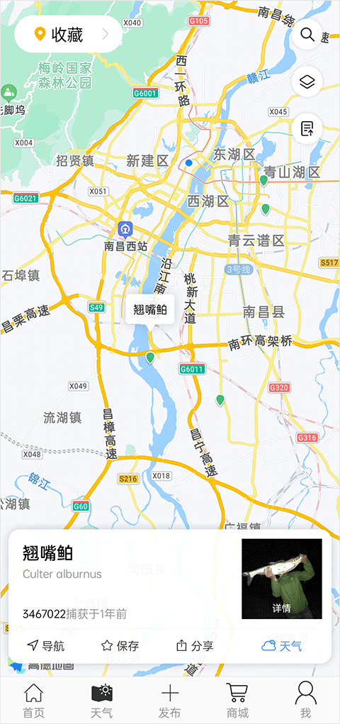 渔获天气查询功能