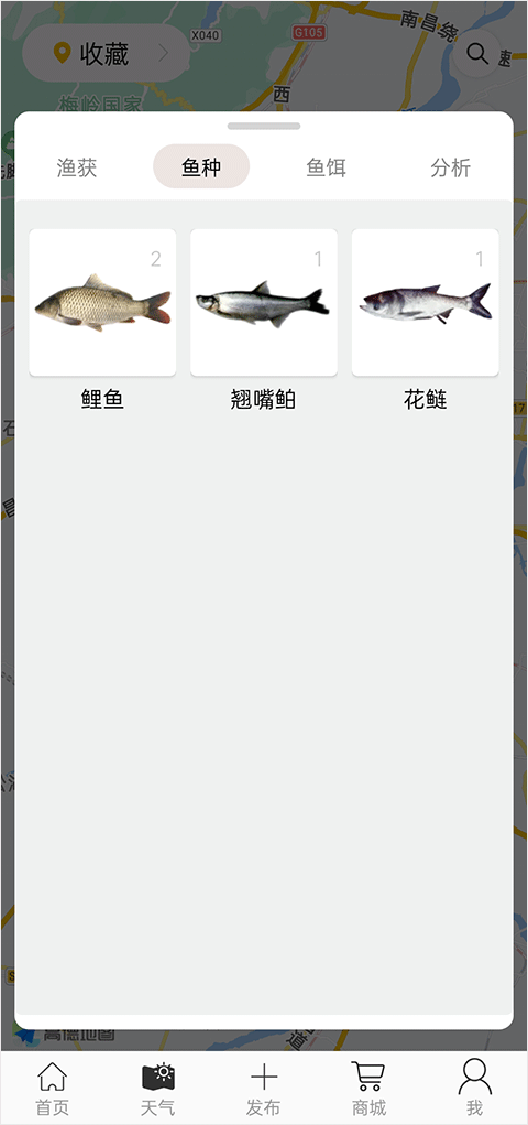 渔获鱼种识别功能