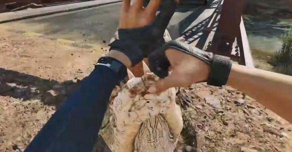 三角洲行动鳄鱼有什么用 三角洲行动彩蛋解析