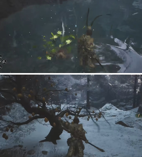 黑神话悟空交梨种子获取方法