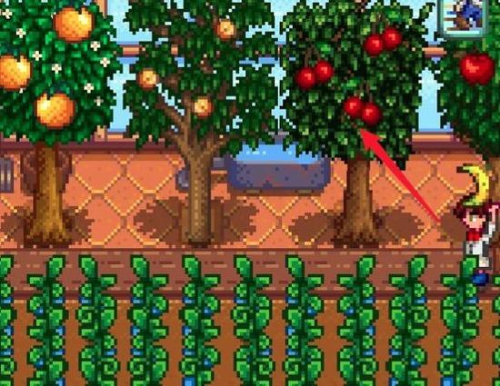 制作果酱所需材料 制作果酱所需材料