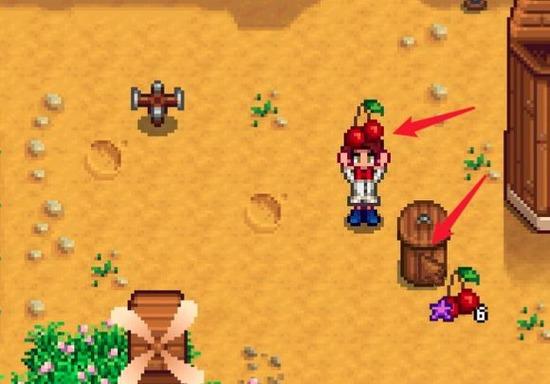 水果放入罐头瓶 水果放入罐头瓶