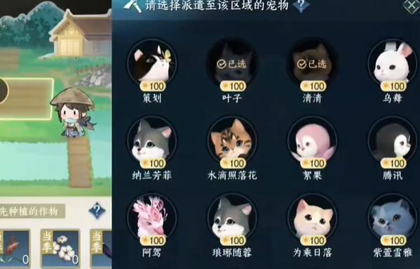 宠物特性选择指南