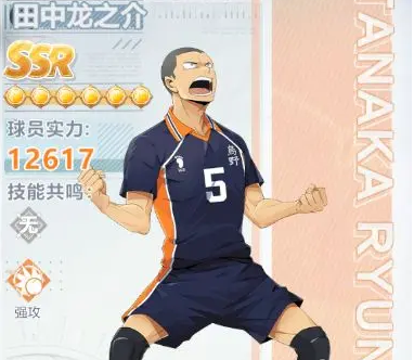 排球少年新的征程角色推荐