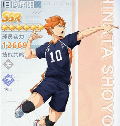 排球少年新的征程角色推荐
