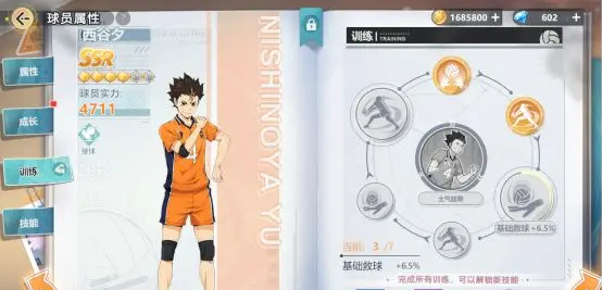 排球少年新的征程角色培养方法 排球少年新的征程角色培养方法