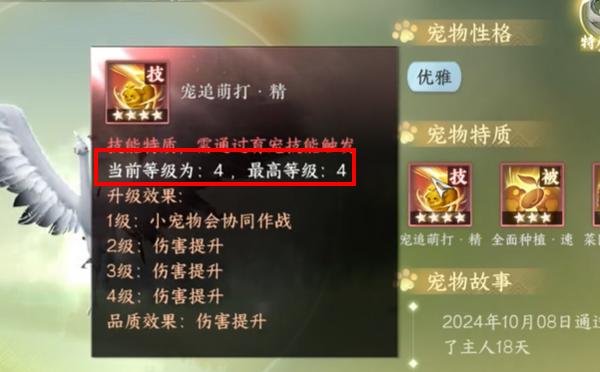 技能获取确认