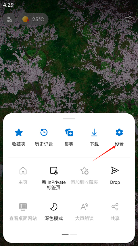 Edge 设置界面