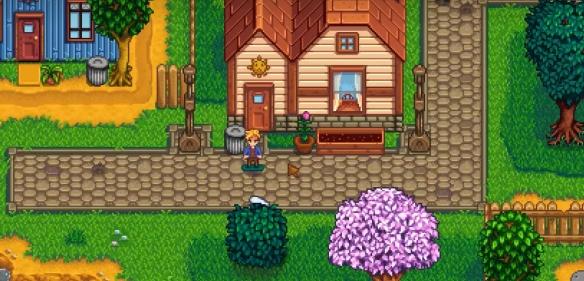 山姆滑板剧情场景