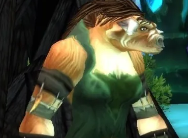 魔兽世界埃霍恩的碎片任务攻略