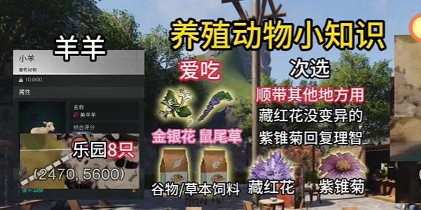 七日世界养殖动物推荐 七日世界养殖动物推荐