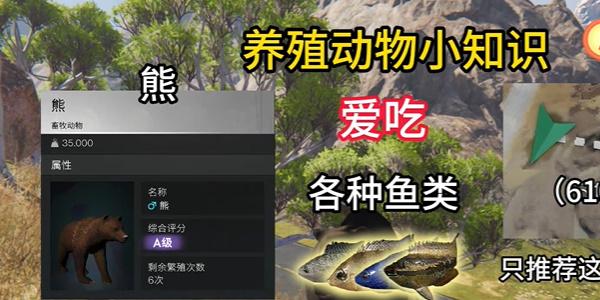 七日世界养殖动物推荐 七日世界养殖动物推荐