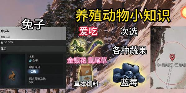 七日世界养殖动物推荐 七日世界养殖动物推荐