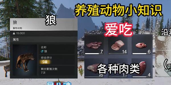 七日世界养殖动物推荐 七日世界养殖动物推荐