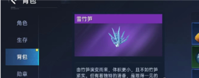 雪竹笋位置示意图