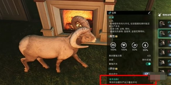 羊只繁殖说明
