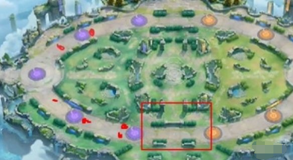 宝可梦大集结开局走哪路 宝可梦大集结开局走哪路