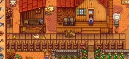 星露谷物语罗宾寻找指南 星露谷物语罗宾寻找指南