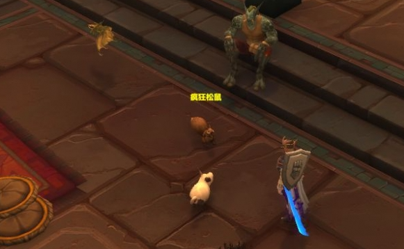 魔兽世界疯狂松鼠NPC位置 魔兽世界疯狂松鼠NPC位置