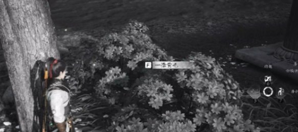 燕云十六声失窃的头坛饮任务怎么做 燕云十六声失窃的头坛饮任务怎么做