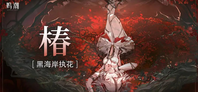 鸣潮椿输出手法教学 鸣潮椿操作手法详解