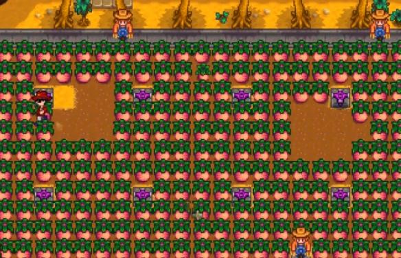 星露谷物语作物研究任务怎么过 星露谷物语作物研究任务攻略