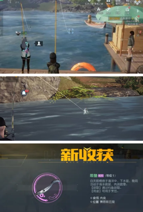 黎明觉醒生机钓鱼教程
