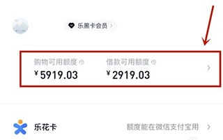 信用借款