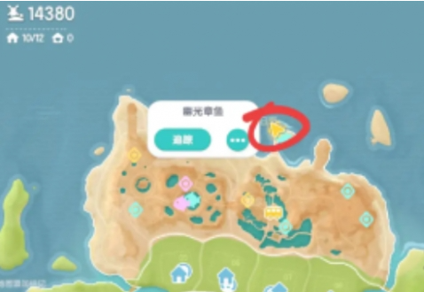 心动小镇幽光章鱼位置 心动小镇幽光章鱼位置