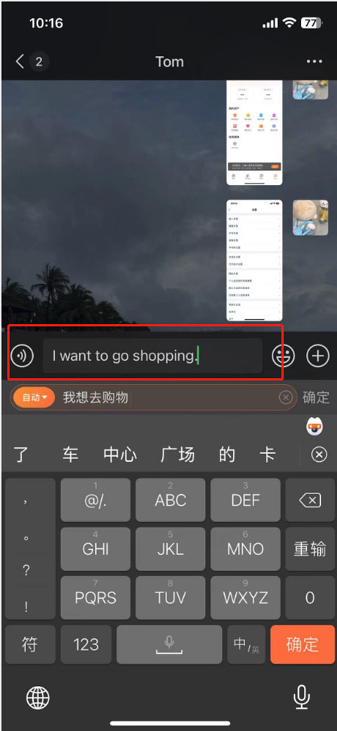 翻译结果展示