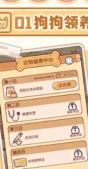 宠物健康检查
