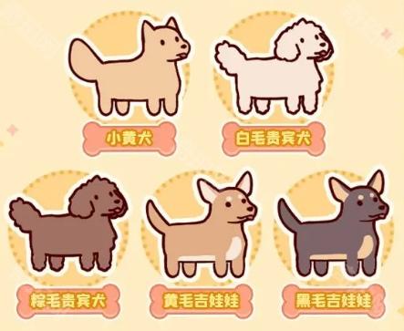 宠物皮肤展示