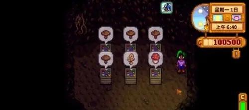 蘑菇洞内各种蘑菇种类