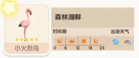 森林湖畔的小火烈鸟