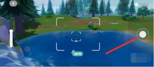 心动小镇鸟类资料卡获取方法