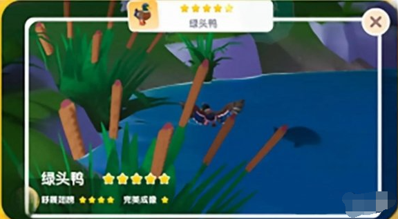 心动小镇鸟类资料卡获取方法