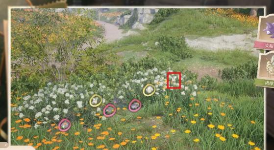 无限暖暖拍照技巧