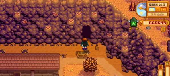 星露谷物语女巫沼泽入口