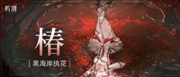 洛可可+椿+维里奈阵容