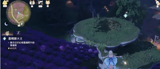 无限暖暖画帽鸡拍照教程