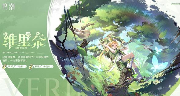 椿主C阵容搭配技巧