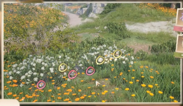 无限暖暖照片调查白日昆虫任务怎么做 无限暖暖照片调查白日昆虫任务攻略