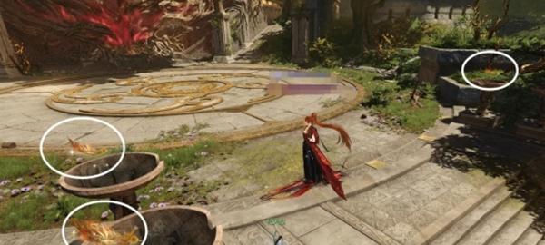 赤金羽收集位置