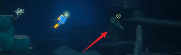 潜水员戴夫幽灵毒鱿鱼捕获方法