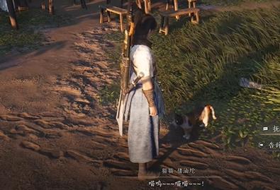 竹林猫咪位置