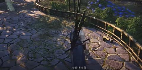 商铺区域猫咪