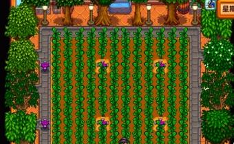 星露谷物语酿酒流怎么玩 星露谷物语酿酒流玩法指南